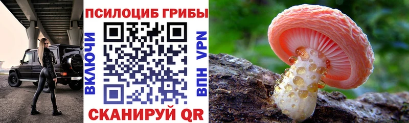 купить   Абдулино  Галлюциногенные грибы MAGIC MUSHROOMS 